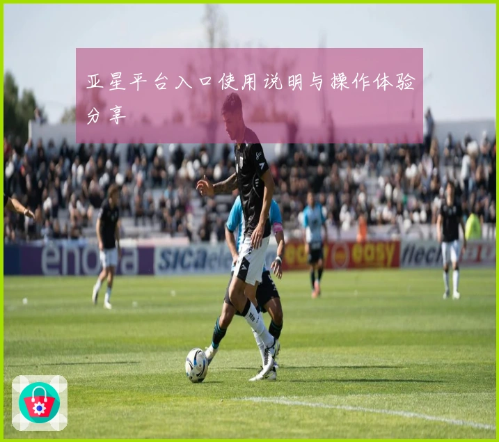 亚星平台入口使用说明与操作体验分享