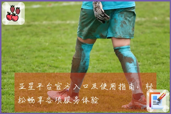 亚星平台官方入口及使用指南，轻松畅享各项服务体验